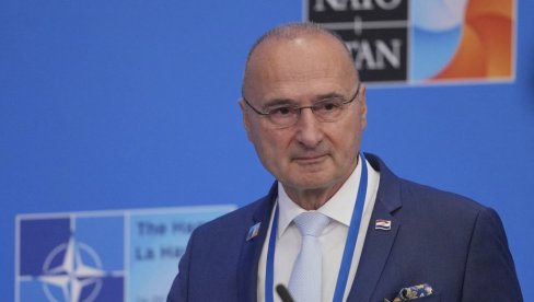 БРУКА ХРВАТСКОГ ШЕФА ДИПЛОМАТИЈЕ НА НАТО САМИТУ: Погледајте шта је изјавио Грлић Радман, јавност у шоку (ВИДЕО)