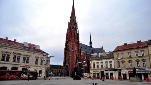 САКУПЉАЈУ ИХ ЂУБРОВНИЦИМА Језиво: Најезда бубашваба у Осијеку (ВИДЕО)