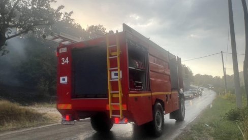 DAČIĆ O POŽARIMA U SRBIJI: Imali smo 20.000 intervencija, svi kapaciteti MUP na terenu kako bi zaštitili građane Srbije