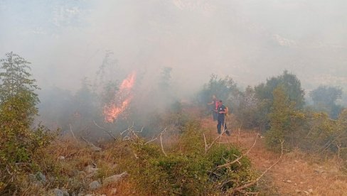 ПОЖАРИ У ТРЕБИЊУ ЛОКАЛИЗОВАНИ ПОСЛЕ 18 ДАНА: Следи санација и пошумљавање