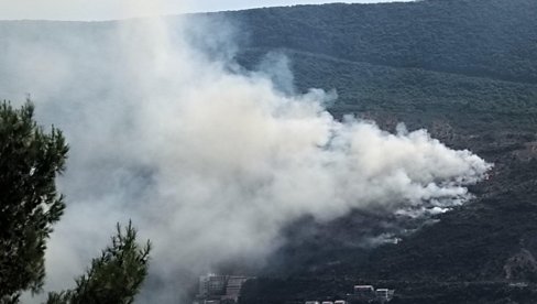 ПОЗНАТ ИДЕНТИТЕТ МУШКАРЦА КОЈИ ЈЕ ИЗАЗВАО ПОЖАР У ХЕРЦЕГ НОВОМ: Ватра ишла ка кућама -становништво преживело агонију (ФОТО)