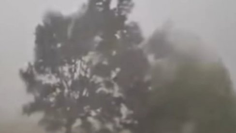 OLUJA SE KREĆE KA ISTOKU: Vetar čupao drveća - Sloveniju pogodilo strašno nevreme (VIDEO)