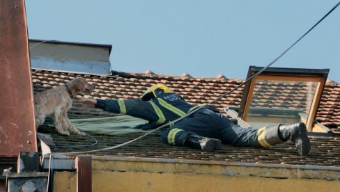 ВАТРОГАСЦИ СПАСЛИ ПСА СА КРОВА ЗГРАДЕ У СМЕДЕРЕВУ: Драма са срећним крајем у Улици краља Петра наочигледних пролазника