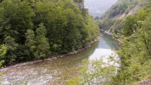 DVA ROĐENA BRATA POGINULA U RECI TARI: Detalji nezapamćene tragedije u Slatini kod Mojkovca