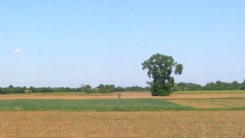 JAVNI POZIV: Državne njive daju se na besplatno korišćenje