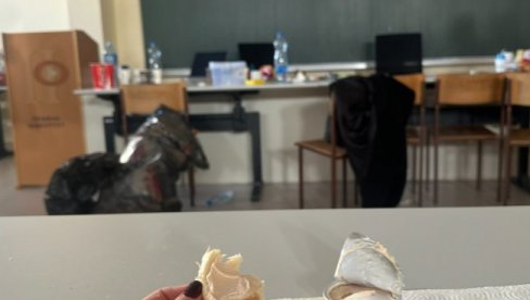 RUGLO BLOKADERA: Napravili svinjac od Pravnog fakulteta u Kragujevcu (FOTO)