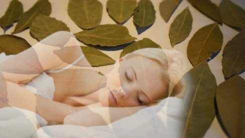 ДРАГОЦЕНИ ЛИСТОВИ: Зашто ловор треба да ставите испод јастука пре спавања