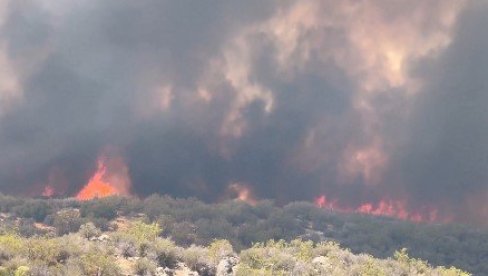IZGORELE GARAŽE U BLIZINI ZEMUNSKOG VRTIĆA: Buktinja na Batajničkom drumu, totalna šteta na dva uslužna objekta