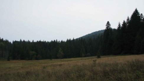 НОВА ГРУПА ОБРЕНОВАЧКИХ ЂАКА ЈУТРОС ОТИШЛА НА ТАРУ: Деца из Стублина, Скеле и Дражевца на седмодневном дружењу