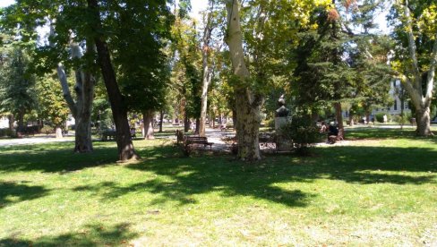 ХОЋЕ ЛИ БИТИ ХАПШЕЊА НАПАДАЧА ИЗ ПАРКА У ПАНЧЕВУ? Суд поново одлучује о притвору