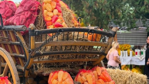 ОД ПАПРИКЕ ПРАВЕ И ТОРТУ!: Манифестација у Руском Крстуру у част краљице овдашњих поља одржана током викенда