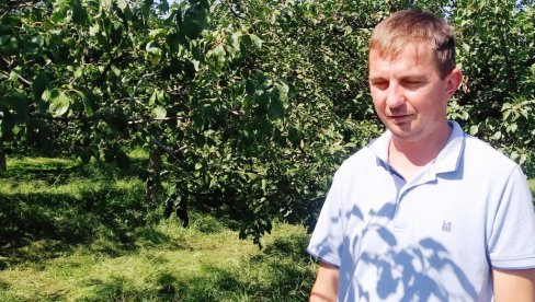 НЕВЕСЕЛИ БИЛАНС ВОЋАРА ЗОРАНА ИЛИЋА ИЗ МИРИЛОВЦА КОД ПАРАЋИНА   У шљивику само успомене