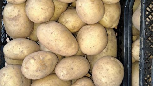 ПОЉОПРИВРЕДНИК ОСТАО БЕЗ 150 ТОНА КРОМПИРА: Како су друштвене мреже превеслале једног Пољака