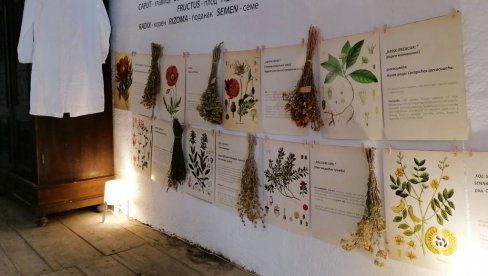 И ВИНО КОРИСТИЛИ КАО ЛЕК: Вршачки музеј „Апотека на степеницама“,  добио нови експонат - апотекарску пресу за цеђење грожђа (ФОТО)