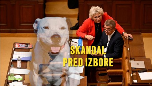 SKANDAL PRED IZBORE: Optužena da je naručila UBISTVO PSA nove devojke bivšeg muža