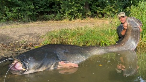ULOVIO GRDOSIJU: Ribolovac koji je upecao soma od 2,68 M - sada je ponovo NADMAŠIO sebe! (FOTO)