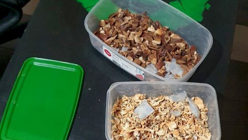 UZGAJALI PSIHOAKTIVNE PEČURKE: Policija u Bečeju otkrila dve laboratorije i uhapsila dvojicu osumnjičenih