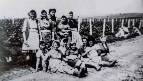 TRAGOM NEMAČKIH VINOGRADARA: Knjiga „Gudurica koju volimo“, autora Petra Lokasa, oživljava sećanja na poslednjih 80 godina života sela