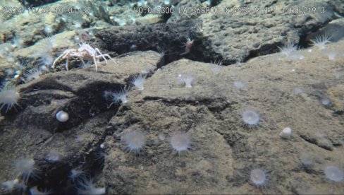 ПРОНАЂЕНА ПОДВОДНА МЕТРОПОЛА У ПАЦИФИКУ: Кинеска подморница са људском посадом дошла до невероватног открића (ВИДЕО)