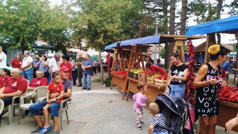 ПАПРИКУ СЛАВЕ И СВЕ МАЊЕ САДЕ: Недалеко од Параћина, 15. Дреновачкеи дане обележила бројна надметања