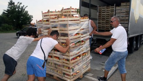 OD MEŠETARA I POLISA ŠTITI: Inicijativa Ministarstva poljoprivrede da se u otkupu poljoprivrednih proizvoda uvede obavezno osiguranje