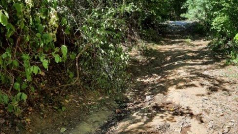 ЖЕНА ПОГИНУЛА У ПРЕВРТАЊУ ТРАКТОРА: Кренула на рад у поље, па смртно страдала