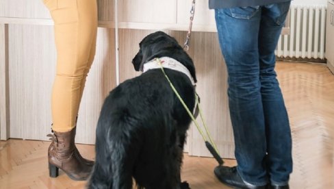 АПЕЛ НВО „БИЈЕЛИ ШТАП“: Из закона у ЦГ о вештачењу инвалидитета изузети  особе са урођеним инвалидитетом