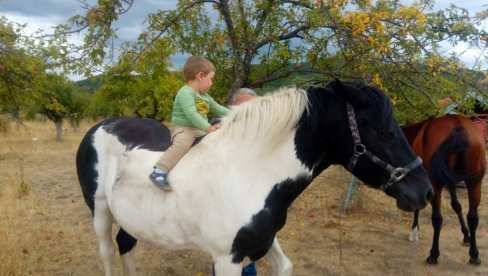 SADA NE MOGU DA ZAMISLIM ŽIVOT VAN MOJE SRBIJE: Nije se pokajao što je posle 42 godine došao iz Frankfurta na obronke Kopaonika (FOTO)