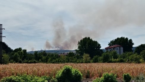 BUKTE POŽARI ŠIROM KRAJINE:  Gori u Tamniču, između Rečke i Čubre i potes Zlatnog brda