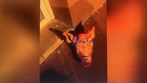 OSTAVILI SVINJSKE GLAVE ISPRED DŽAMIJA: Teške provokacije na verskoj osnovi u Parizu - Na jednoj napisano Makronovo ime