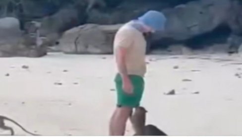 СРБИНА НА ТАЈЛАНДУ УЈЕО МАЈМУН: Ево колико је морао да плати посету лекару, коментари кажу: За те паре је могао да купи нову ногу (ВИДЕО)