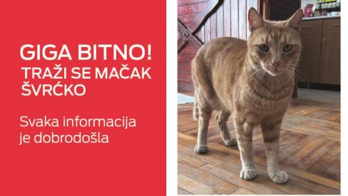 СВИ ТРАЖЕ ШВРЋКА