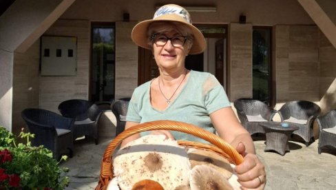 НА ДИВЧИБАРАРАМА МОРЕ ГЉИВА: Природа дала најбоље