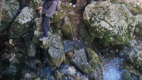 HIDROKOMLPEKS LISINE NEDALEKO OD DESPOTOVCA   Ispitivanje podzemnih voda