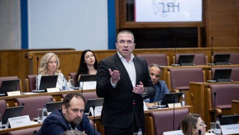 IZ SOKOLA MRŽNJA BIJE: Hrvatski evroposlanik udario na Beograd