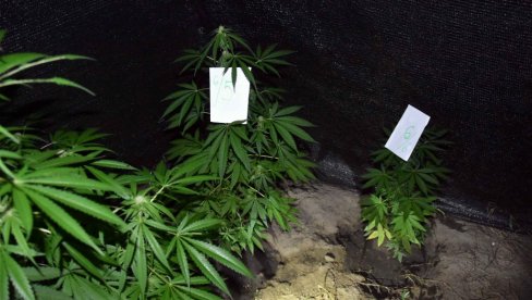 U PREŠEVU PRONAĐENA DROGA: Zakopana u tegli  u porodičnom dvorištu