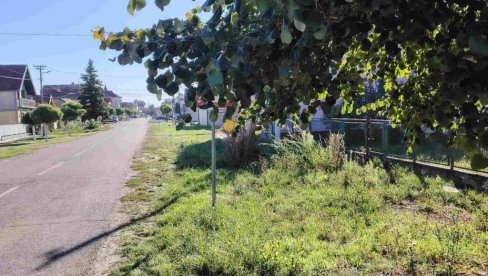 OSUMNJIČENI JE OTAC ČETVORO DECE, PETO NA PUTU: Tužilac traži pritvor posle užasne tragedije u Bogatiću