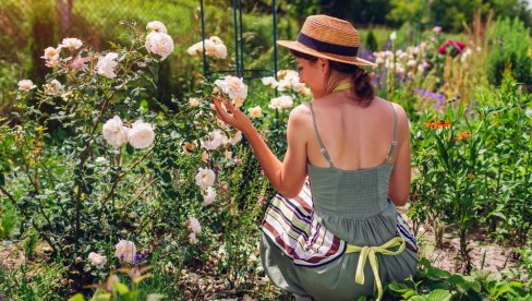 ЦВЕЋЕ КОЈЕ СВАКО ДВОРИШТЕ ТРЕБА ДА ИМА: Може вам донети срећу и благостање