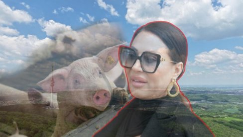 NE SME DA UNIŠTI SVETINJU! Ceca pravi farmu na Avali, meštani uznemireni: Samo preko nas mrtvih, zvali smo sveštenika!