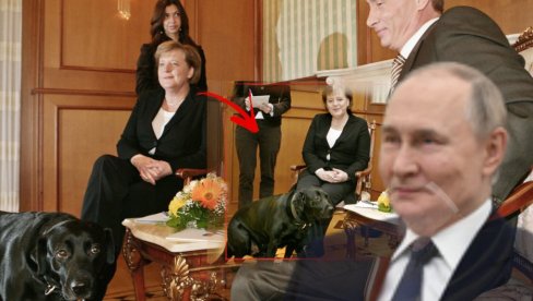 KAKO JE PUTIN UĆUTKAO MERKELOVU? Psom pokazao psihološku igru - Angela zaboravila gde se nalazi