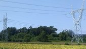 ISKLJUČENJA STRUJE: Sutra radovi na mreži u Braničevskom okrugu