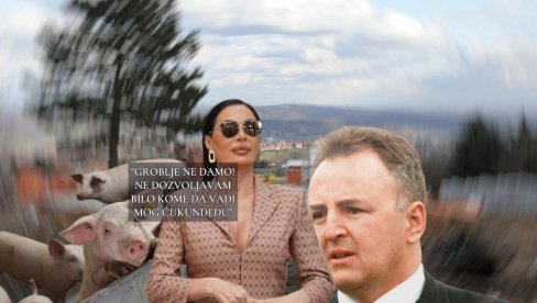 NIJE BILO KO: Evo od koga je Ceca kupila plac na Avali - sarađivao sa Arkanom, dobio POKLON od njega