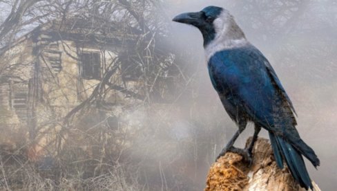 НАРОДНА ВЕРОВАЊА: Како су наши преци тумачили одређене појаве