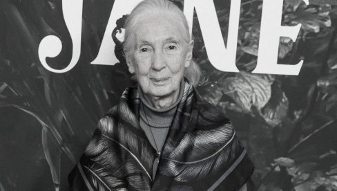 ПРЕМИНУЛА ЛЕГЕНДАРНА ЏЕЈН ГУДАЛ: Цео живот посветила заштити природе и животиња - иза себе је оставила неизбрисив траг