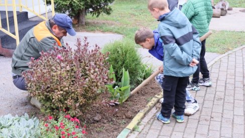 BELI I CRNI BOR IZ RASADNIKA: Podeljeno 500 sadnica