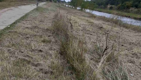 ПОЉОЧУВАР У СИВЦУ, МИРОСЛАВ ЛАЗИЋ, ОПТУЖУЈЕ ОРГАНИЗАТОРЕ 21. ШТУКИЈАДЕ   Саднице (ни)су жртве паркинга