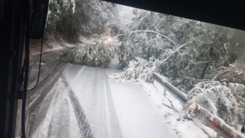 OSTALI BEZ PUTEVA I STRUJE: Prvi sneg doneo probleme žiteljima Jablaničkog okruga