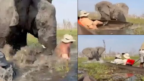 ЉУДИ, БЕЖИТЕ ОД МОЈИХ БЕБА! Бесна слоница бацила људе у реку пуну крокодила - једну туристкињу давила у мутној води (ВИДЕО)