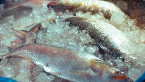 RATNI BRODOVI I AVIONI ŠTITE VREDNE RIBE ILJIŠE: Neobična specijalna operacija Odbrambenih snaga Bangladeša