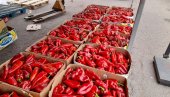 ПАПРИКЕ И ЗА НАС И ЗА КОМШИЈЕ: У јеку сезоне припреме зимнице на тржишту је довољно домаће робе одличног квалитета
